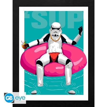 ORIGINAL STORMTROOPER - Framed print "Pool Boy" (30x40) - Vuxen.se - Roliga prylar för svensexa, möhippa och fester