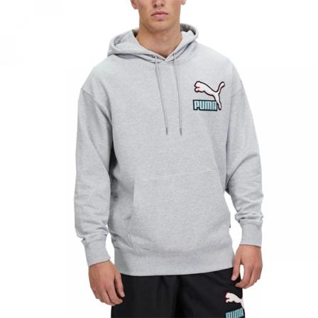 Sweatshirts Puma Fandom Hoodie TR Grå 188 - 191 cm/XL