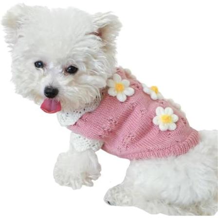 Hundetrøje Hund hoodies Hundekappe Hundjakke Hundevest Hvalpeklæder Hundetrøje Hundeklædsel Hundeskjorte Kat Pyjamas Hundoverall M