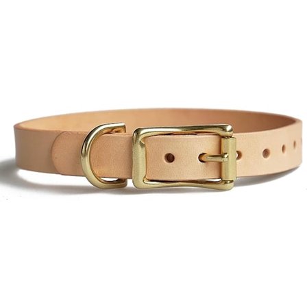 Halsbånd i skinn med solide messingbeslag for alle små og mellomstore hunder