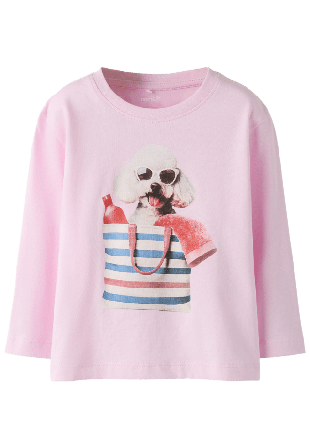 Name It NMFVOTEA LS NREG TOP Hoodies & sweatshirts Dam Rosa 86