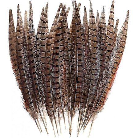 Newway 30 stk Naturlige Fasanfjer, DIY Fasanhalefjer, 15-28 cm Bløde Indfødte Plume Kompatibel Hår Hatte Håndværk Fest Dekoration, Naturlig Co