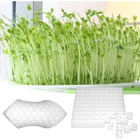 100 st fyrkantiga plantfrösvampar Planteringsredskap för växthus för små knopptillväxt eller odla plantor