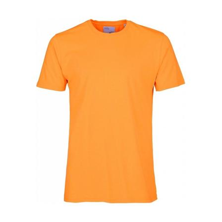 Colorful Standard, Classic Organic Tee Oranje, Heren, Maat:L