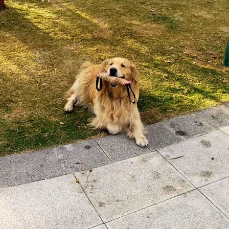 Hundebittpute i jute, slitesterk hundeleke, hundeleke