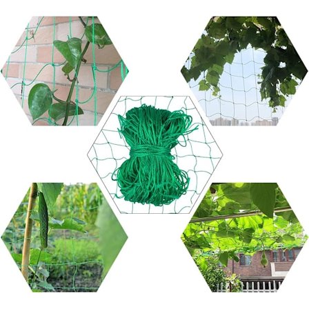 Klatreplante Net, Plante Klatrenet, Rånet med Bredt Masket