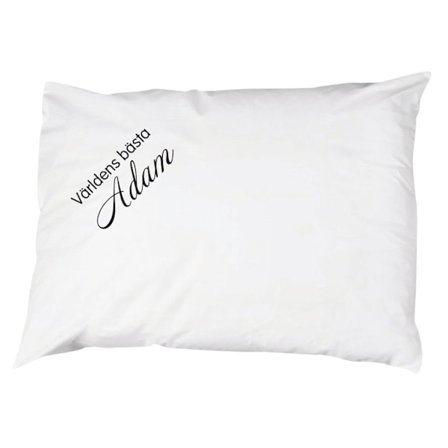 Världens bästa Adam Örngott Eget namn