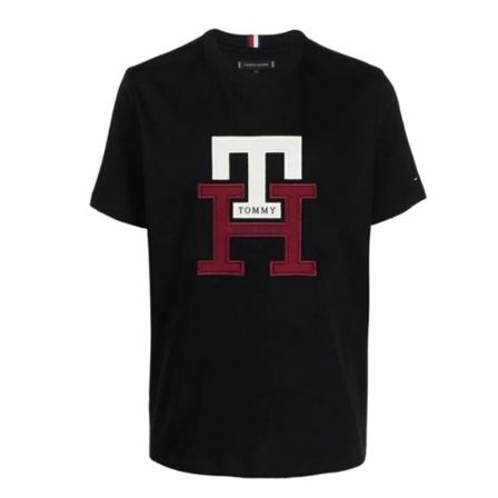 Tommy Hilfiger, Tommy Hilfiger T-shirts and Polos Blauw, Heren, Maat:M,Cotton