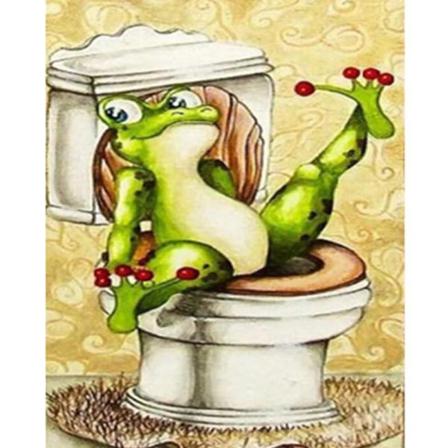 Full 5d Diy Diamond Painting Cross Stitch Toalett Frog Broderi M Som På Bilden 1 25x35cm