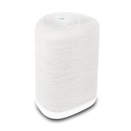 Bluesound PULSE FLEX (P130) Trådløs højtaler