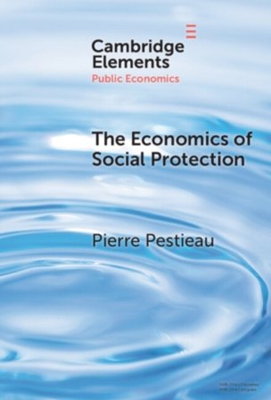 The Economics of Social Protection