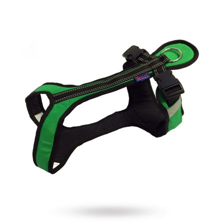 Zero DC - Zero DC Shorter Grön & Svart - Hundsele