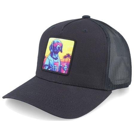 Iconic - Musta trucker Lippis - Party Dog Patch Black A-framed Trucker @ Hatstore