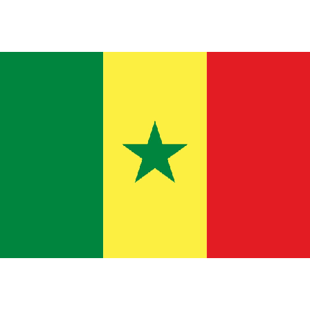 Senegals flagg Senegal