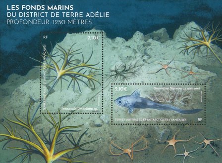 Fransk Antarktis - Havbunden i Terre Adélie-distriktet - Postfrisk miniark