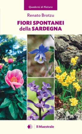 Fiori spontanei della Sardegna Renato Brotzu