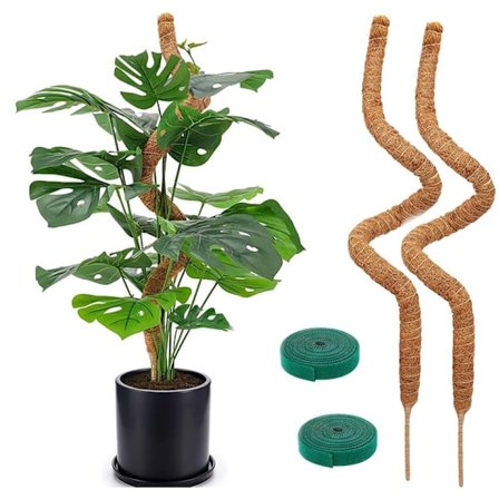 Växtstöd / stödpinne, Böjbar Moss Pinne 70-100cm - Klätterstöd 1/2-pack, för inomhusväxter, murgröna och monstera 90cm-2 st