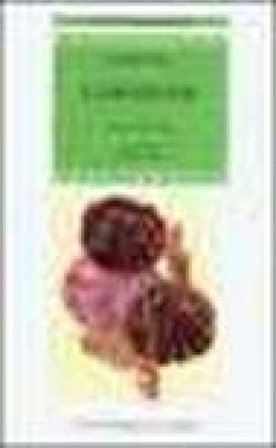 L'adozione. Testo inglese a fronte Jackie Kay