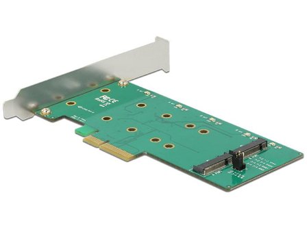 Delock PCI Express Card > 2 x internal M.2 Key B with RAID - Diskkontroller - M.2 Card - PCIe 2.0 x4