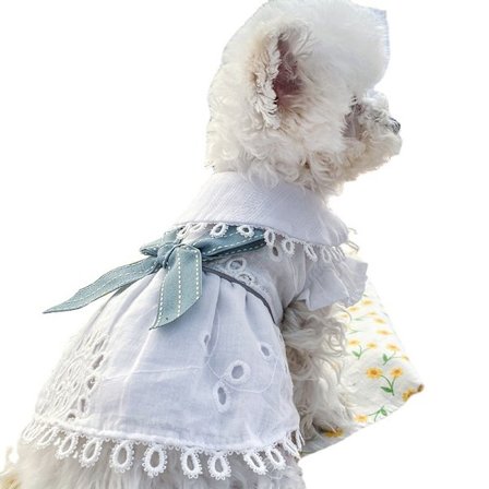 Hundeskjørt, Hundekjoler for Små Hunder Valp Kattekjole Sommer Hund B