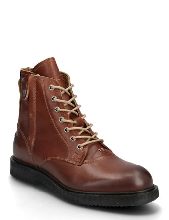 Sneaky Steve | Kingdom Stout Cognac | 41