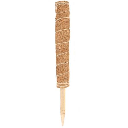 Enskild grön rädisa krukväxt klätterrottingstolpe Leveransrem för kokosnötspinnar (45 cm)