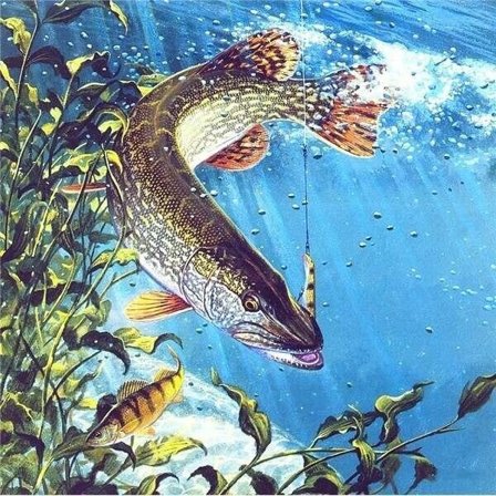 30 × 40 Diamantmålning med fiskemotiv (30 * 40 1 stycke)