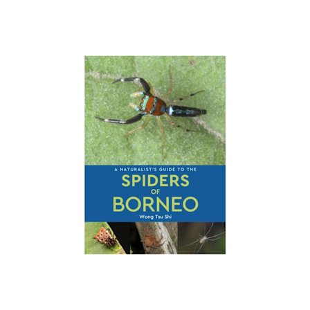 A Naturalist's Guide to the Spiders of Borneo (häftad, eng)