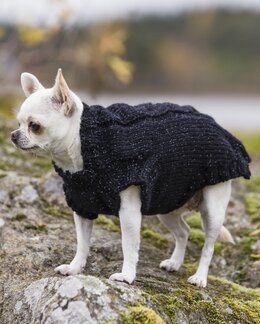 Neuleohje Koiran pusero