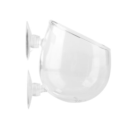 Akvarium Levande Växt Kopp Landskap Växter Odling Bassäng Kopp Mini Akvarium Tillbehör