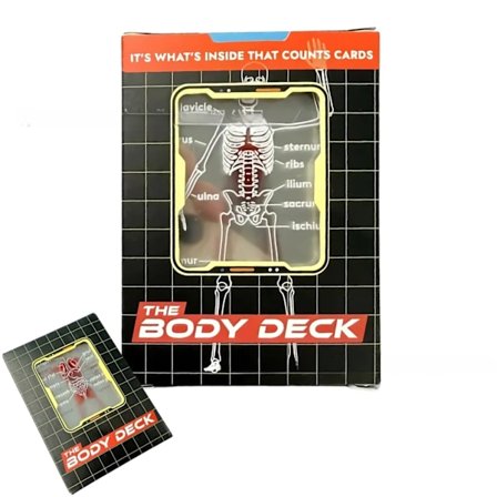 Anatomi spillekort - menneskekroppen