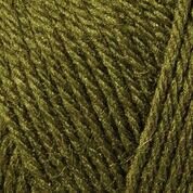 Garn Järbo Raggi Grün