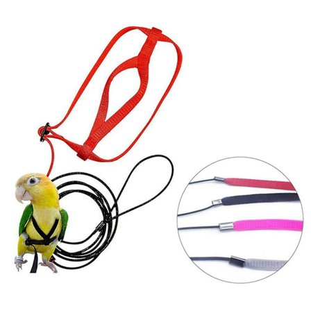 Justerbar Papegøye Fugl Sele Bånd Anti-bitt Trenings Tau Utendørs Fly Sele