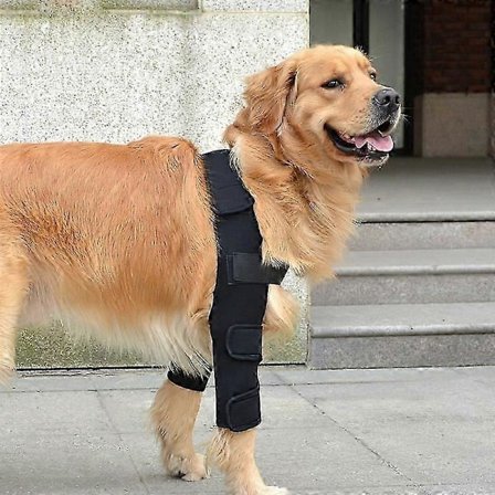 Albuebeskytter til Hunde til Skuldre, Forben, Dislokationer, Tryksår, Skader, Arthritis, Stabilitetstab,m