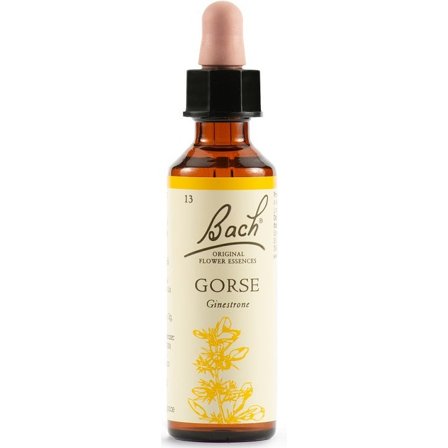 Gorse Bach Original 20ml