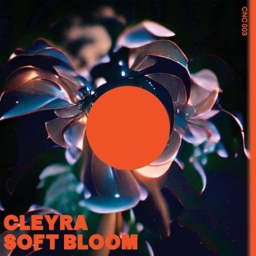 Soft bloom CLEYRA
