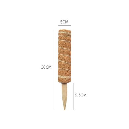 IC Klätterväxt Klätterfäste Kokosnöt Palm Klätterpinne