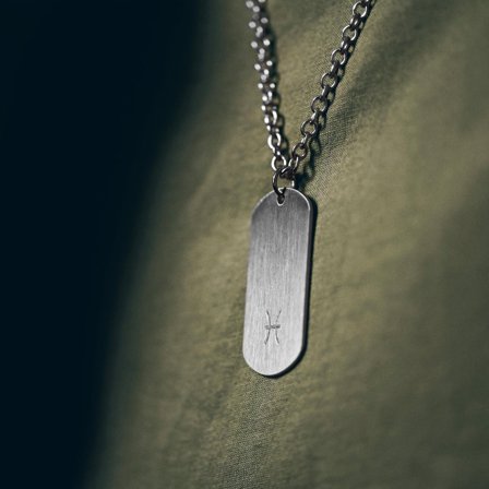 Collier zodiaque en acier argenté - Poissons pour hommes - Chaînes en acier