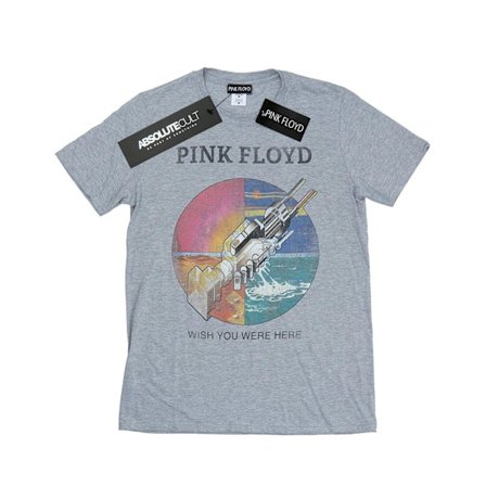 Pink Floyd Flickor Wish You Were Here Boyfriend Fit Bomulls T-shirt