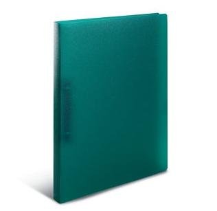 Herma Semitransparent lysegrøn Ringbind A4 (210 x 297 mm) Semitransparent lysegrøn