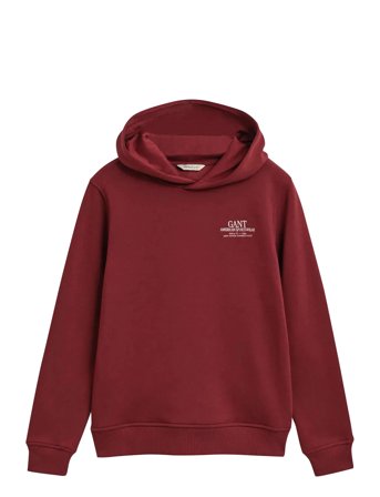 GANT | Graphic Hoodie | 170