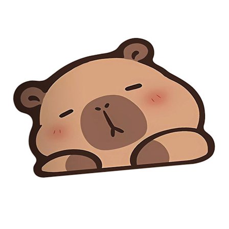 Badrumsmatta med kapybaramotiv, duschmatta, halkfri golvmatta för badkar, toalettmatta, duschmatta, badkarsmatta, badrumsmatta B