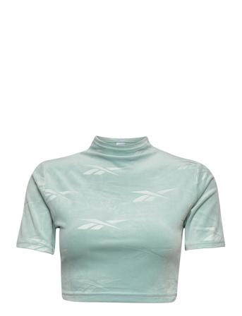 Cl Energy Q4 Ss Tight Top Crop Tops Short-sleeved Crop Tops Blå Reebok Classics