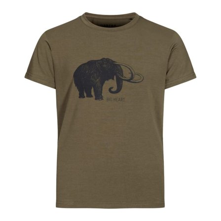 Urberg Tafjord Bamboo Tee Kids Children short-sleeved sweaters Green 110/116