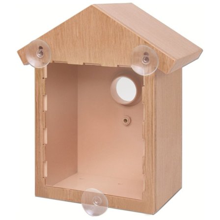 Fuglereder Sugekop Synlig Fuglehjem Fuglehus