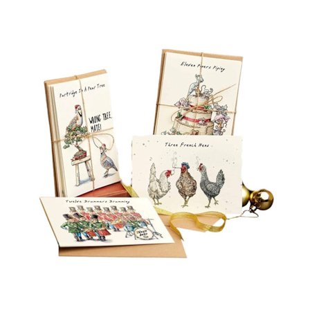 Tolv Dages Julekort Sæt, 12 Dages Jul Sjove Gavekort med Kuverter, 2025 Glædelig Hilsen Bulk Pakke Ornamenter til Naboer