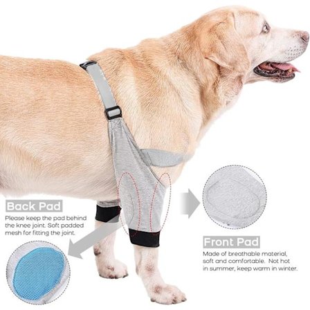 Hundeoperasjonsermhull for forben, beskyttelse for hundens forben