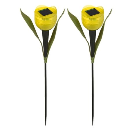 Mordely 2st Tulpaner Solar GUL