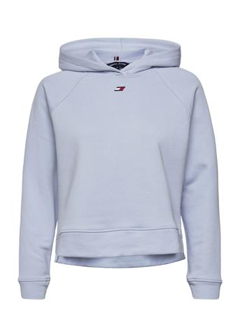 Regular Terry Raglan Hoodie Hoodie Trøje Blå Tommy Sport