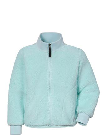Ohlin Kids Fullzip 5 Outerwear Fleece Outerwear Fleece Jackets Blå Didriksons